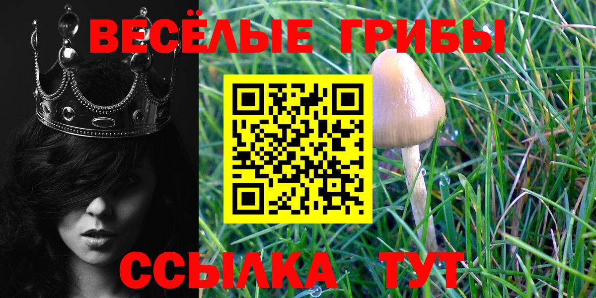 Псилоцибиновые грибы мухоморы  Вход с VPN  Родники 